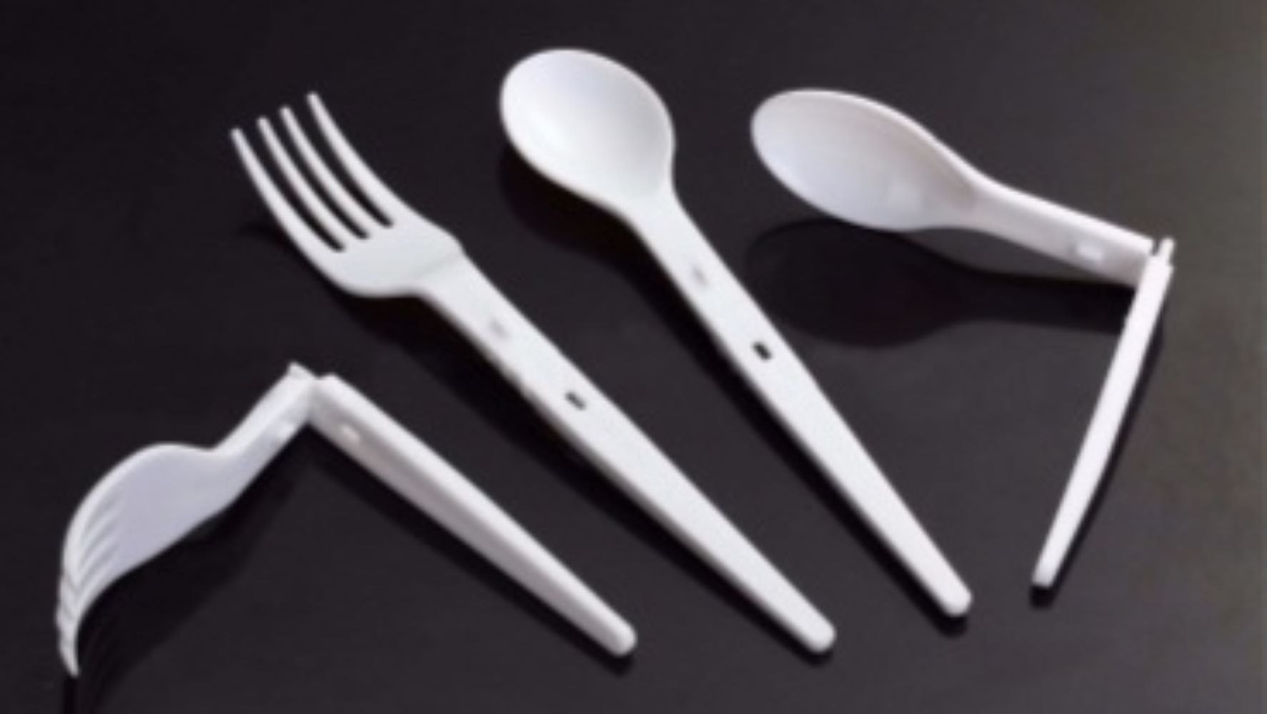 Biodegradable Products