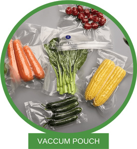 Vaccum pouch Chandigarh